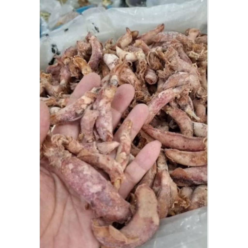 [500gr] cumi sotong kering kecil sedang tanjungpinang