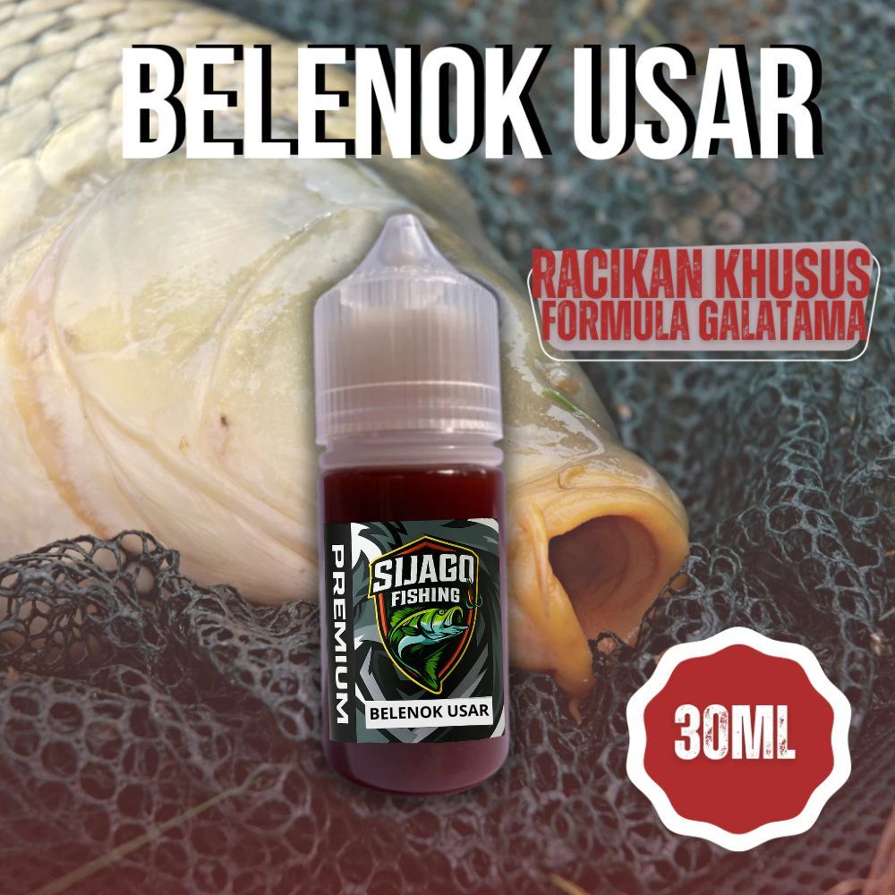 Essen Ikan Mas Gacor Belenok Usar Untuk Galatama Babon Essen Oplosan Untuk Induk Besar