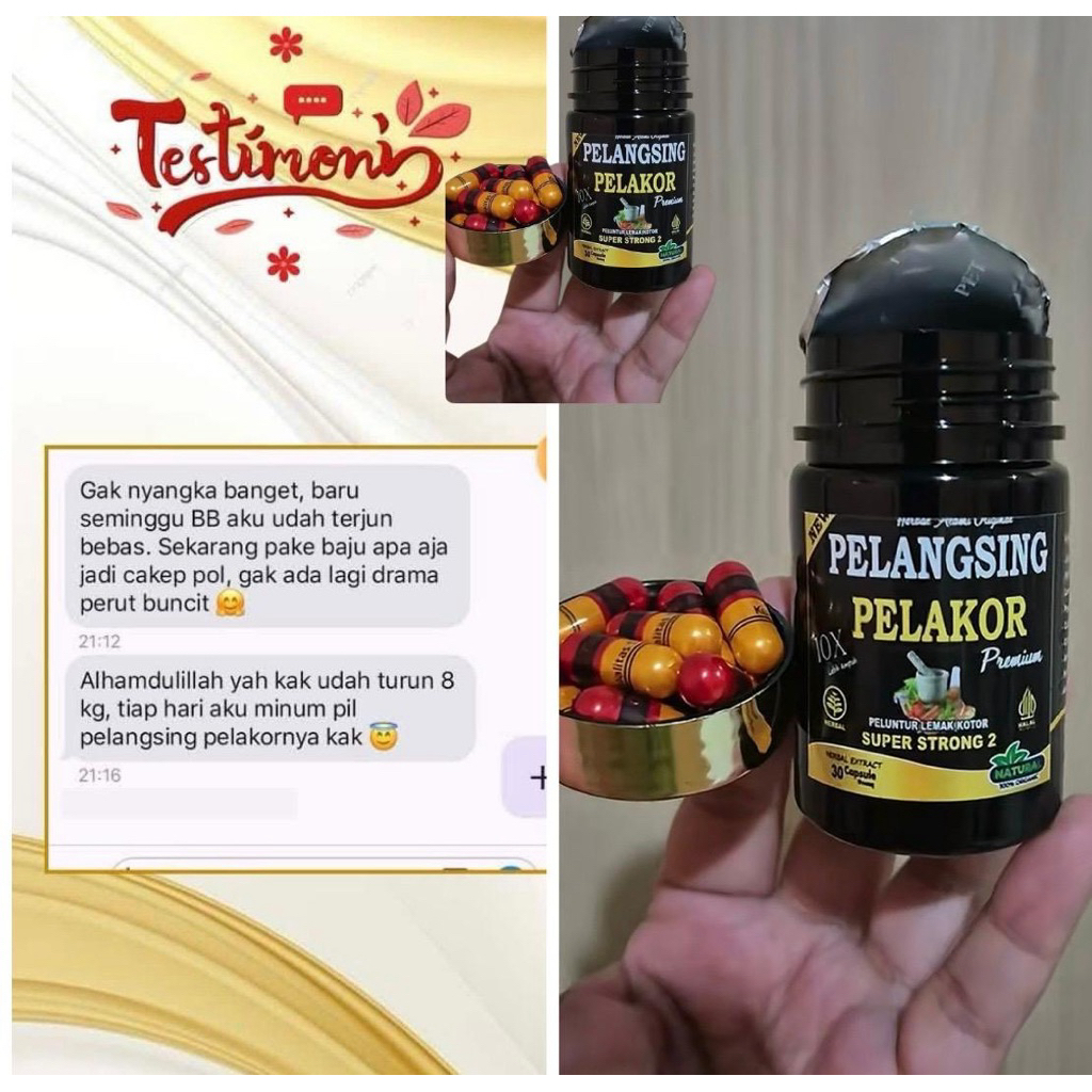 pelangsing pelakor