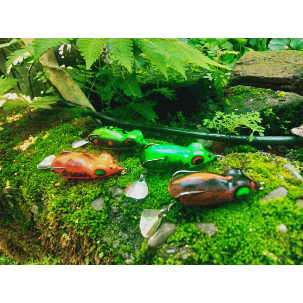 sofrog