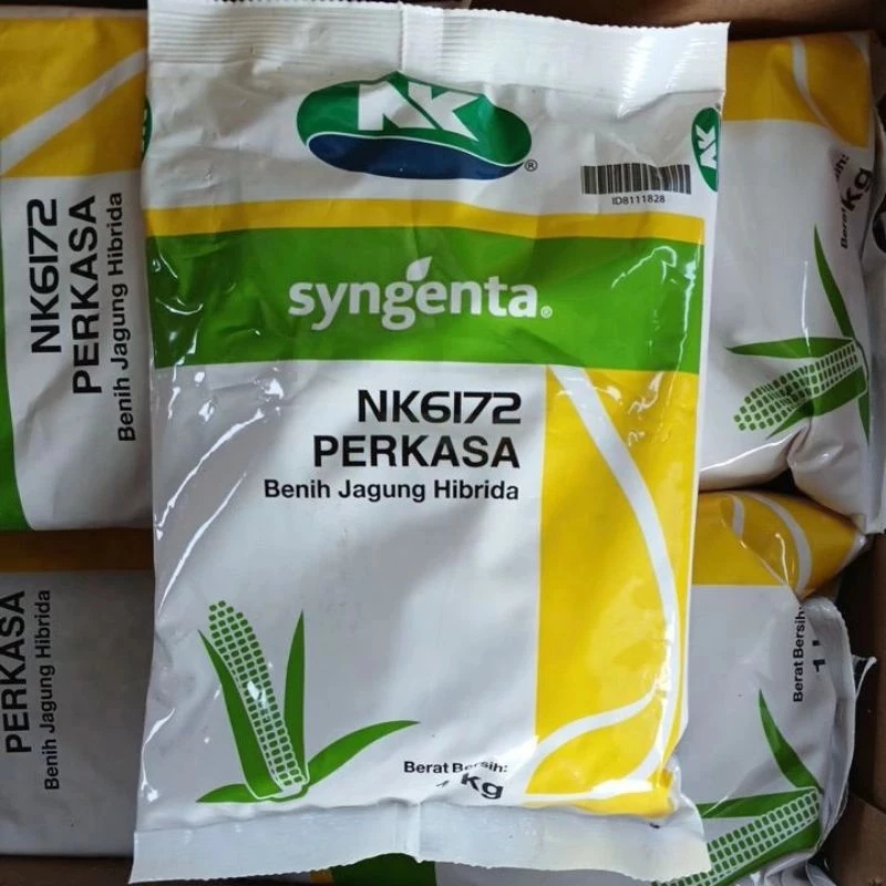 Benih JAGUNG NK PERKASA 6172 1KG #NK Perkasa #jagung perkasa#bibit jagung nk Exp 2027