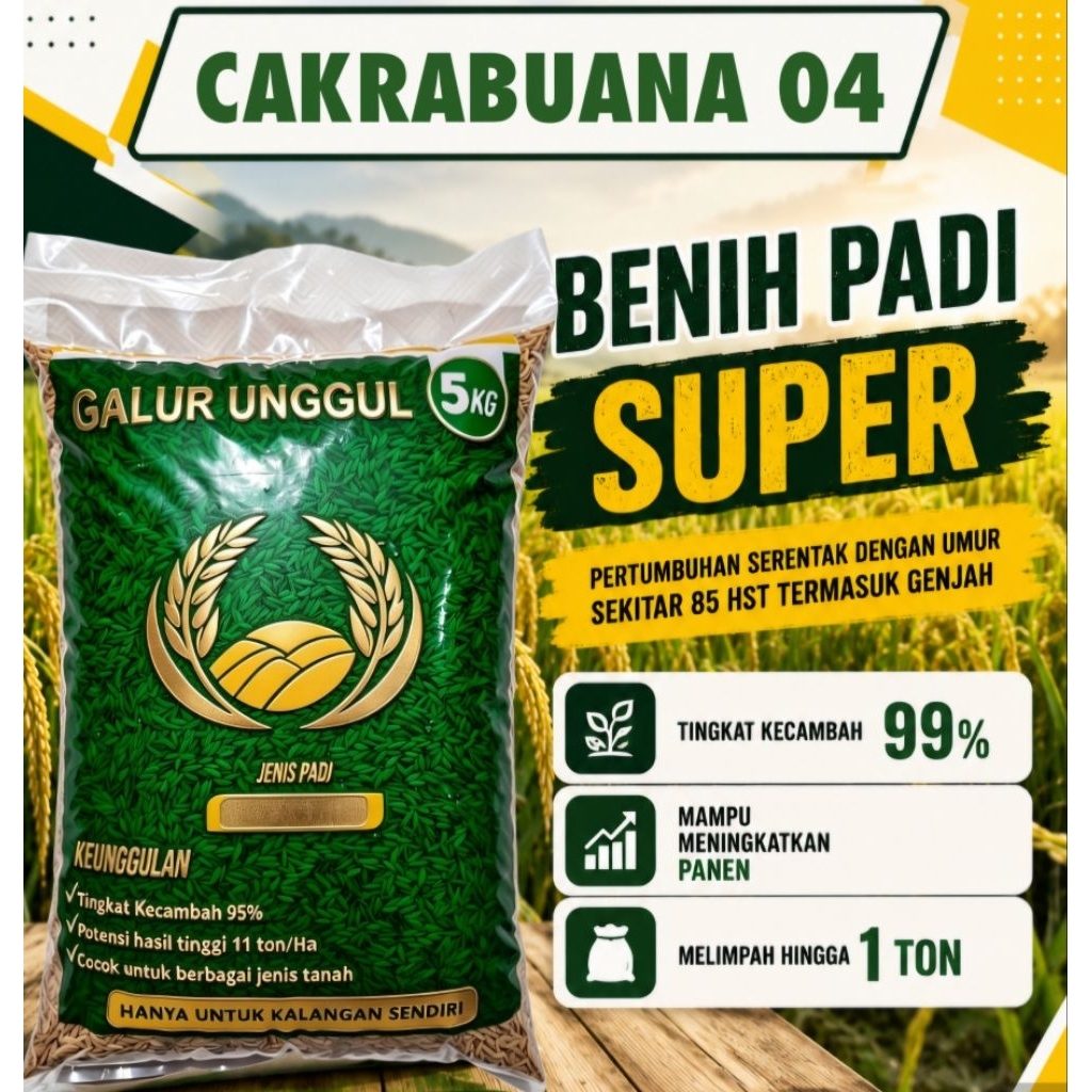 BENIH PADI CAKRABUANA 04