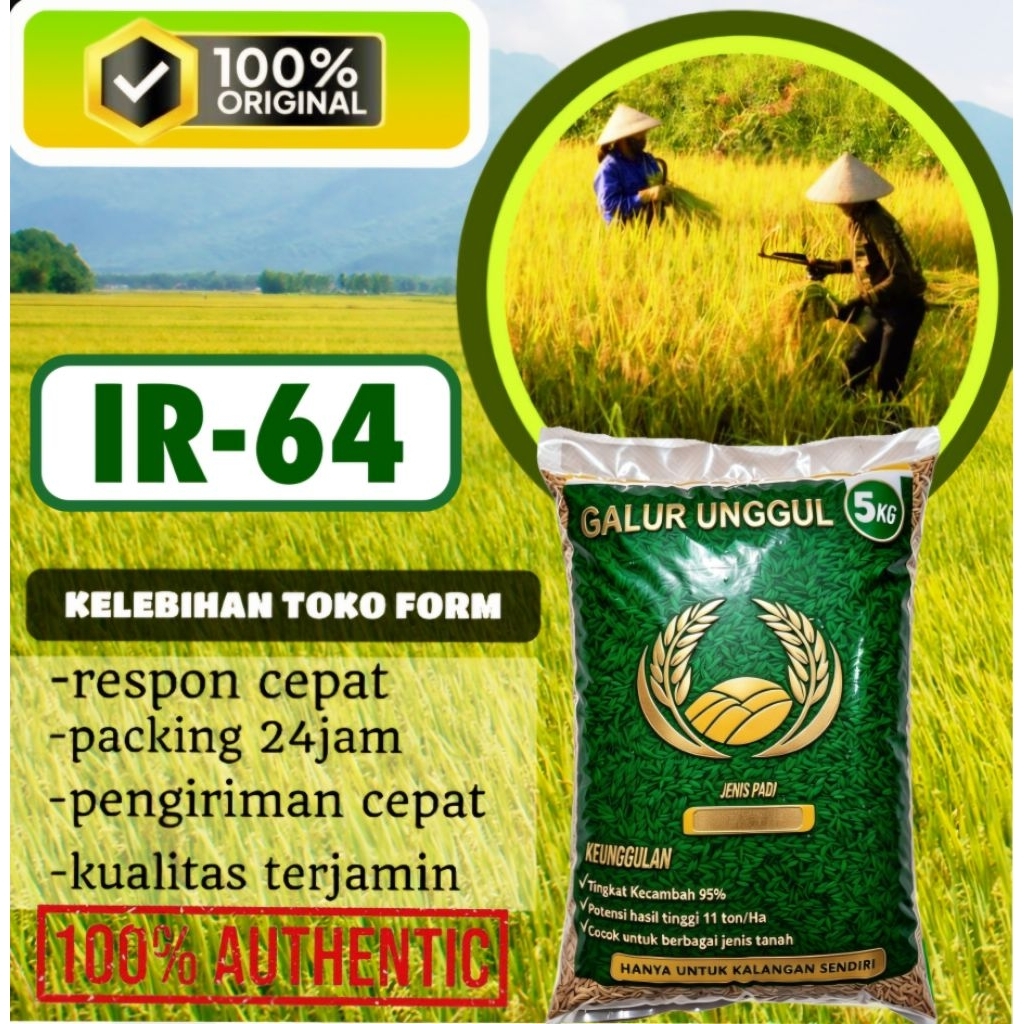 BIBIT PADI UNGGUL IR 64 KEMASAN 5kg