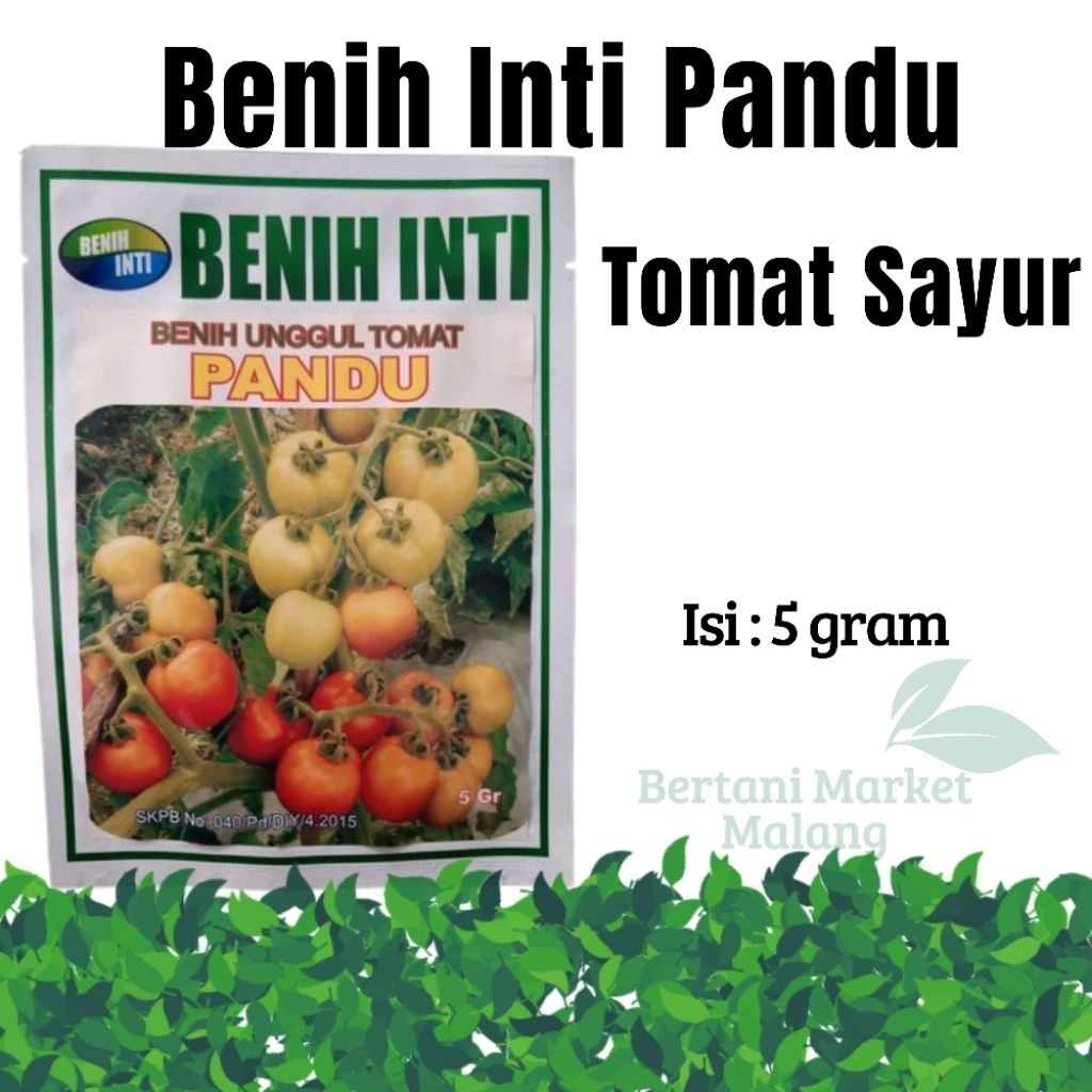 Benih Inti Unggul Tomat Pandu Tomat Sayur isi 5 gram