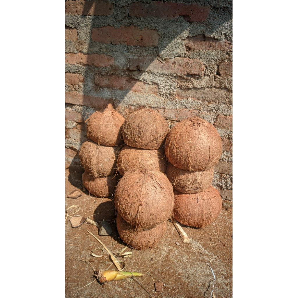 BATOK KELAPA KERING, Bahan Kerajinan Batok Kelapa