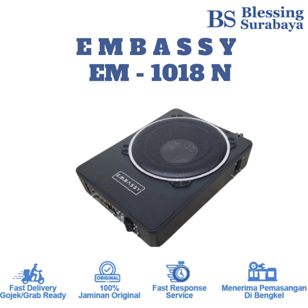 Embassy 10" Subwoofer Active Subwoofer