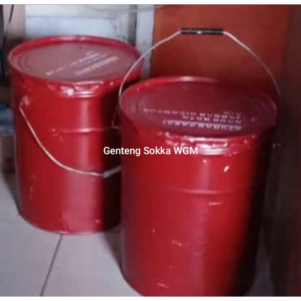 Cat Genteng Anti Lumut 20 kg