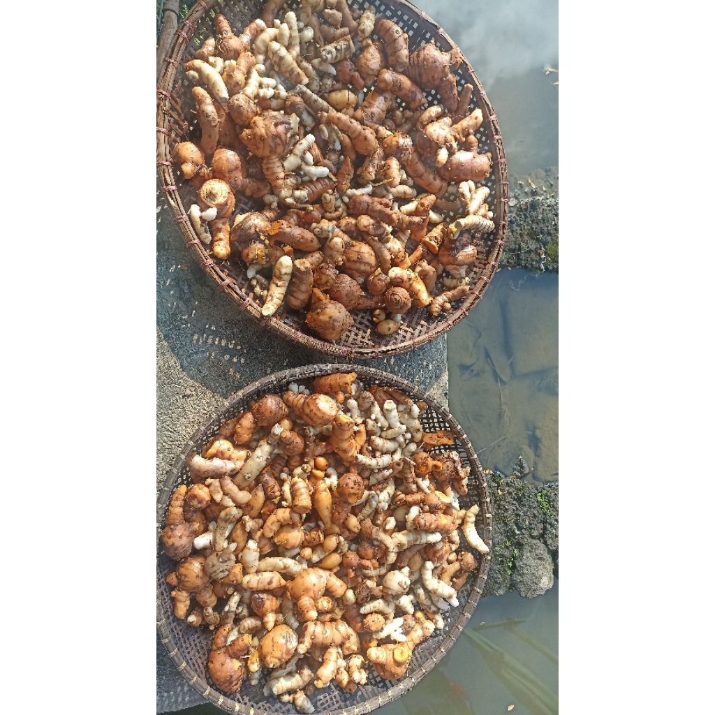 Jual beli hasil bumi
