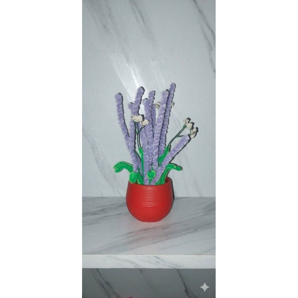 bunga lavender warna ungu muda