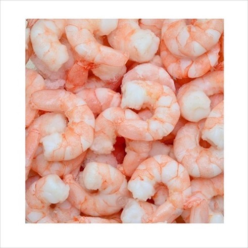 Udang Kupas 1 KG Cooked Segar Ukuran Jumbo XL | CKEY OFFICIAL