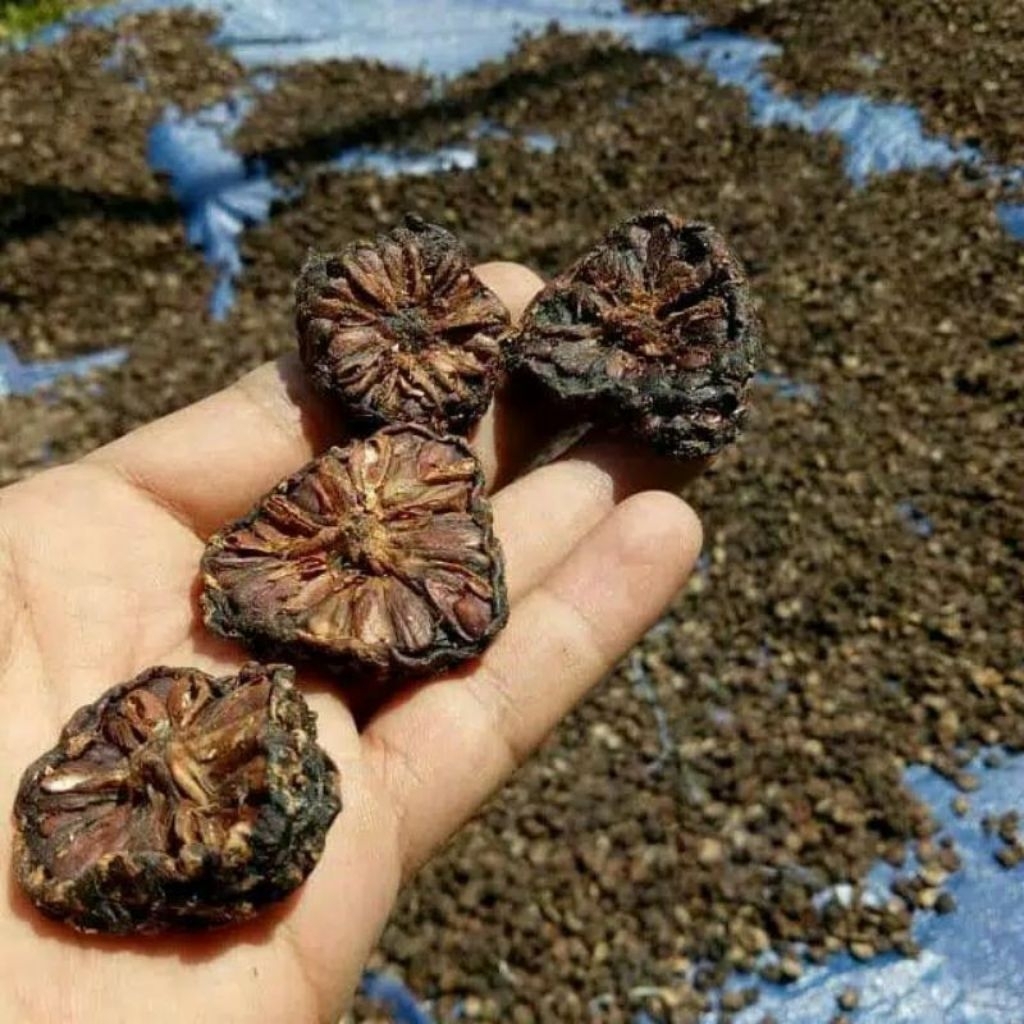 Mengkudu Kering 1 kg
