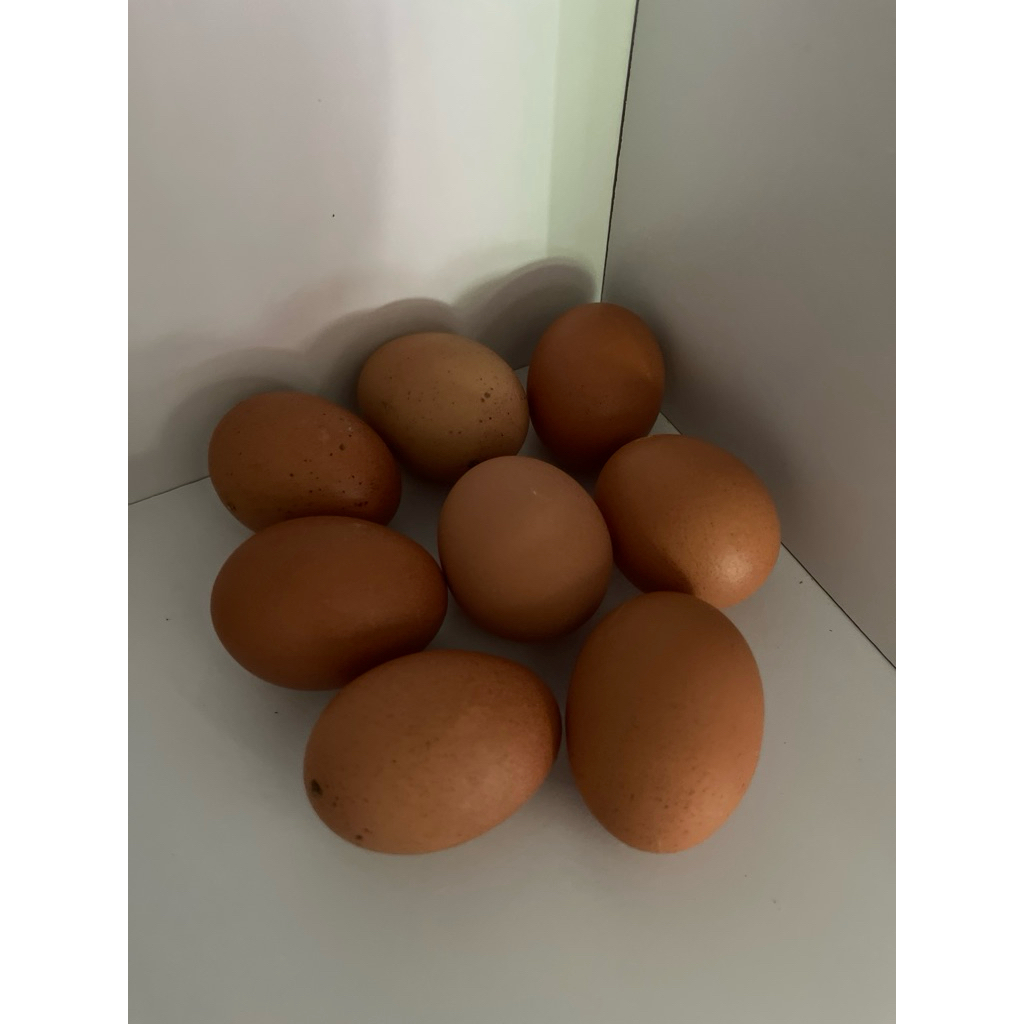 TELUR AYAM (khusus instan paiton)