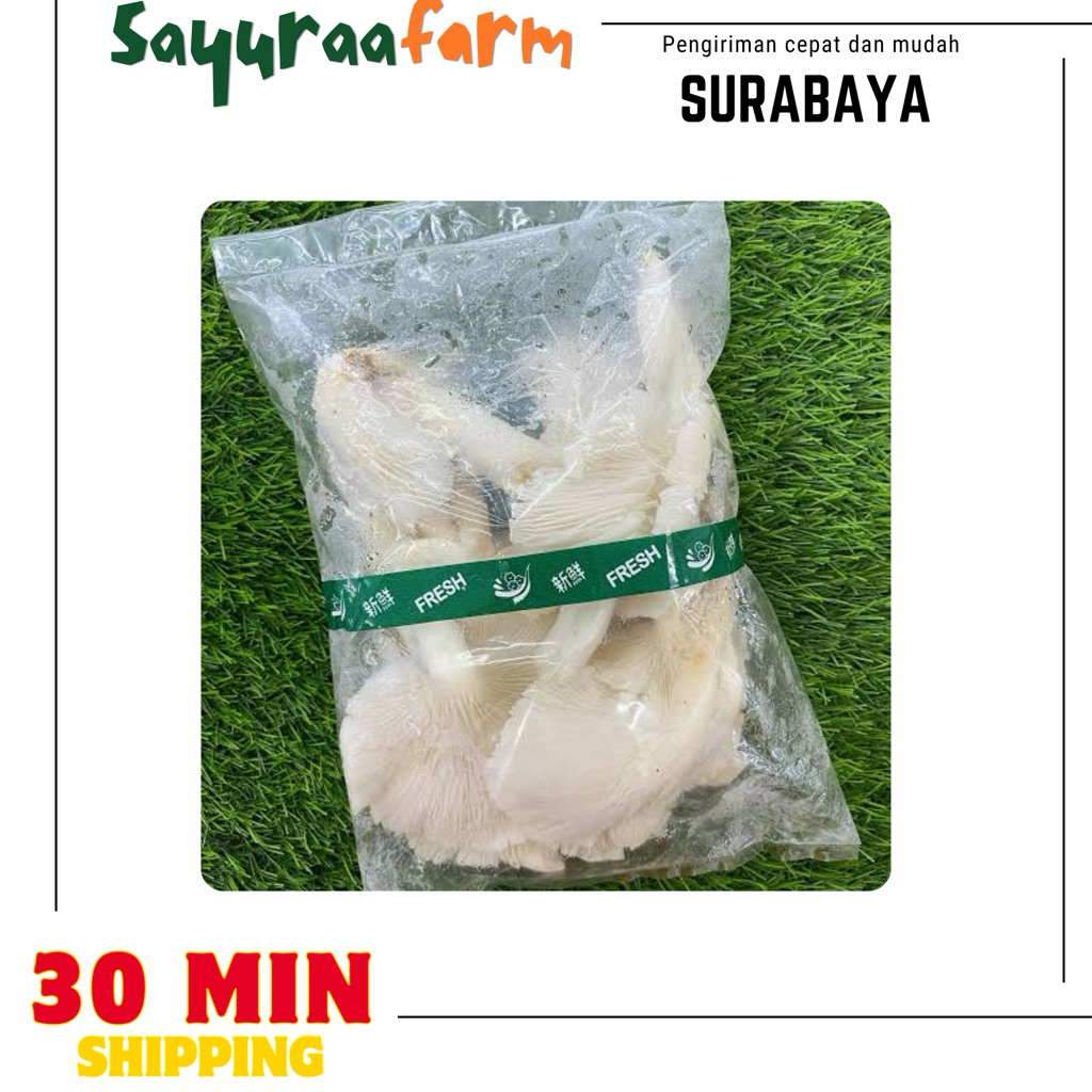 Jamur tiram - Jamur tiram putih perpack