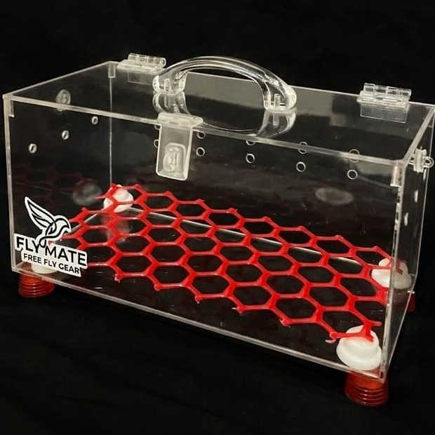 PREMIUM Travel Box Pet Cargo Box Display box FF burung reptil ukuran kecil akrilik