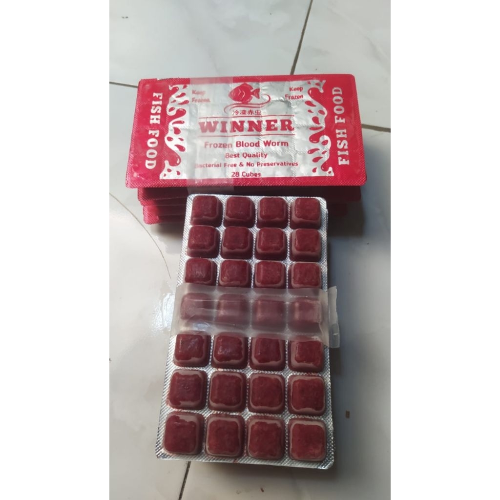cacing kapsul beku dan cacing sutra beku