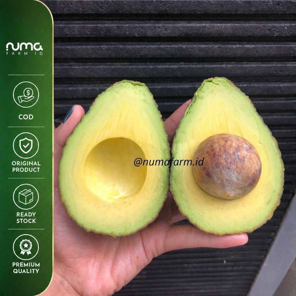 Alpukat Hass 1kg (4-6 Buah) - NUMA FARM ID