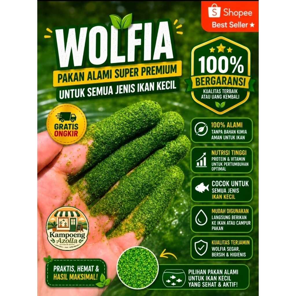 Wolffia + Media Air Nutrisi | Siap Tebar, Cepat Panen, Anti Ribet | Wolffia Superfood Pakan Ikan Pre