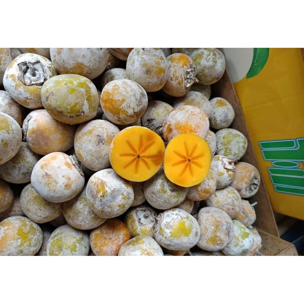 Buah kesemek