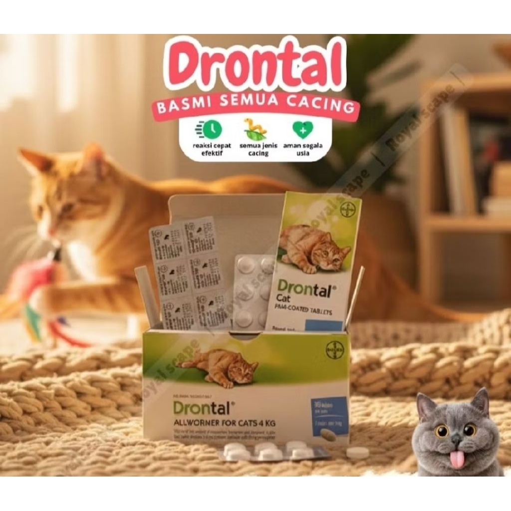 DRONTOL OBAT CACING KUCING kucing 1 tablet obat cacing kucing anak kitten dewasa tablet