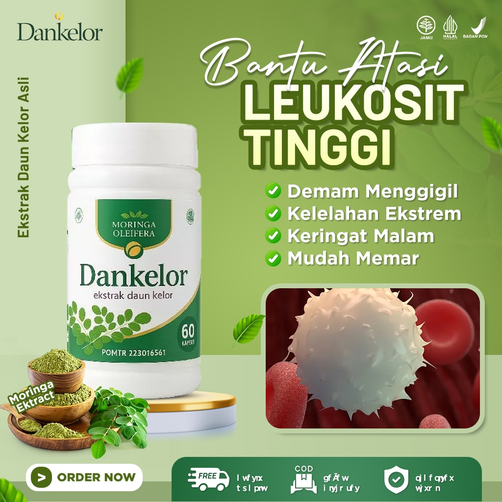 DANKELOR - Obat Leukosit Tinggi Herbal Penurun Leukosit Tinggi Penurun Sel Darah Putih Original BPOM