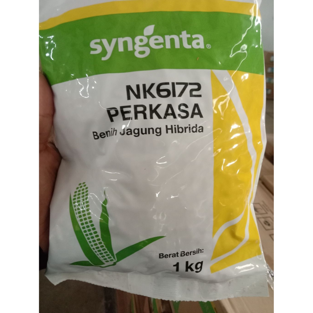 Benih Jagung Hibrida Syngenta NK Perkasa 1 kg
