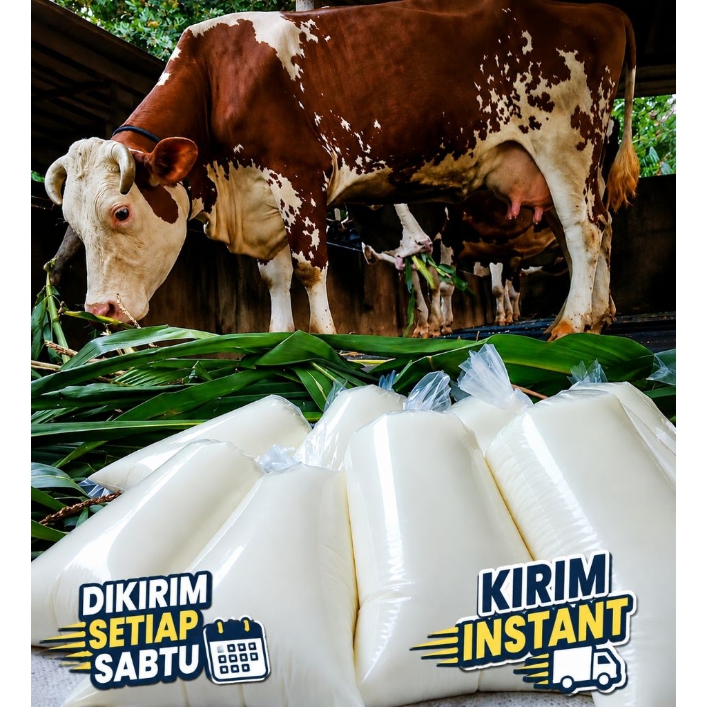 Susu Sapi Murni Mentah 1 Liter - Segar, Alami, Tanpa Pengawet
