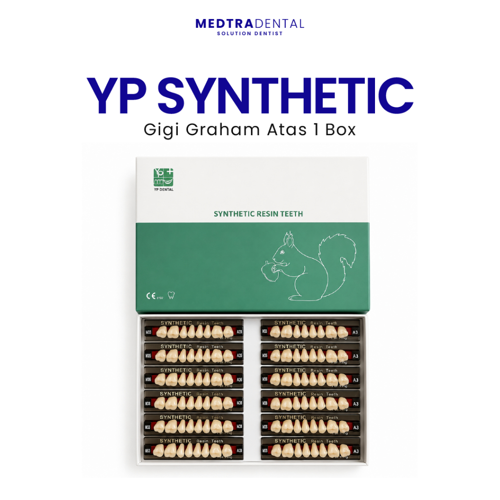 Medtradent - Gigi Sintesis YP Dental Graham Atas 1 Box
