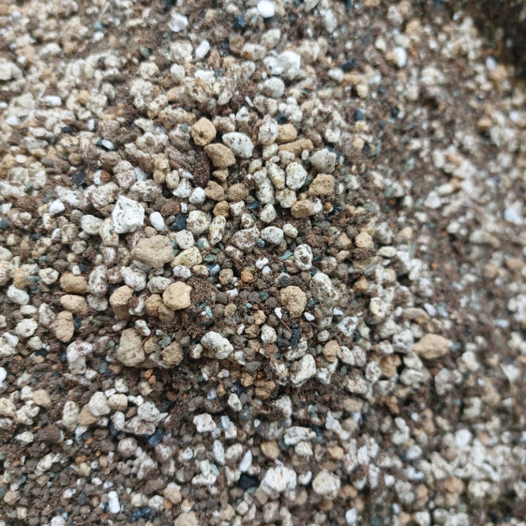 Media Tanam Metan Kaktus Sukulen Lithops Gymno Gymnocalycium Astrophytum Premium STERIL Anti Hama An
