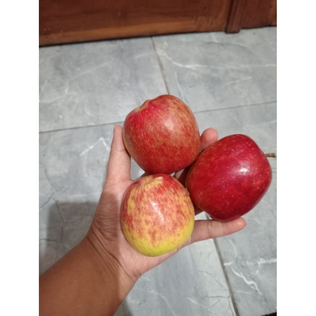 apel ana tanggung campur kecil 1kg isi 10_20