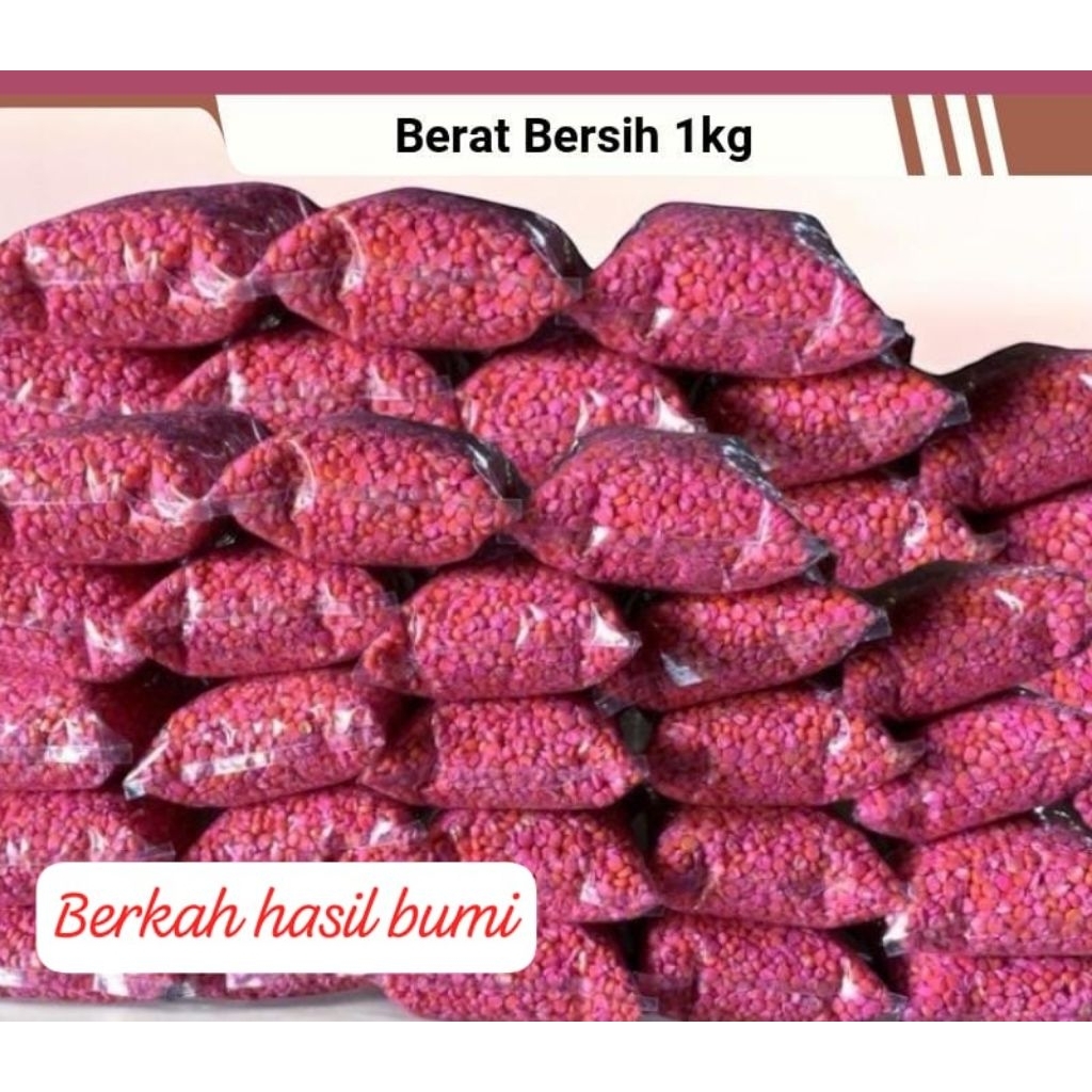 OBRAL!!!1kg BENIH JAGUNG F2  PERKASA SUPER UNGGUL SIAP TANAM