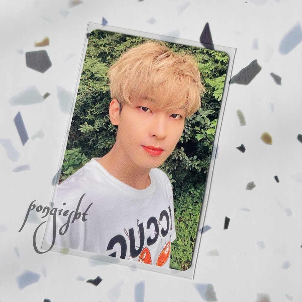 Photocard Official Seventeen Wonwoo Dicon 101