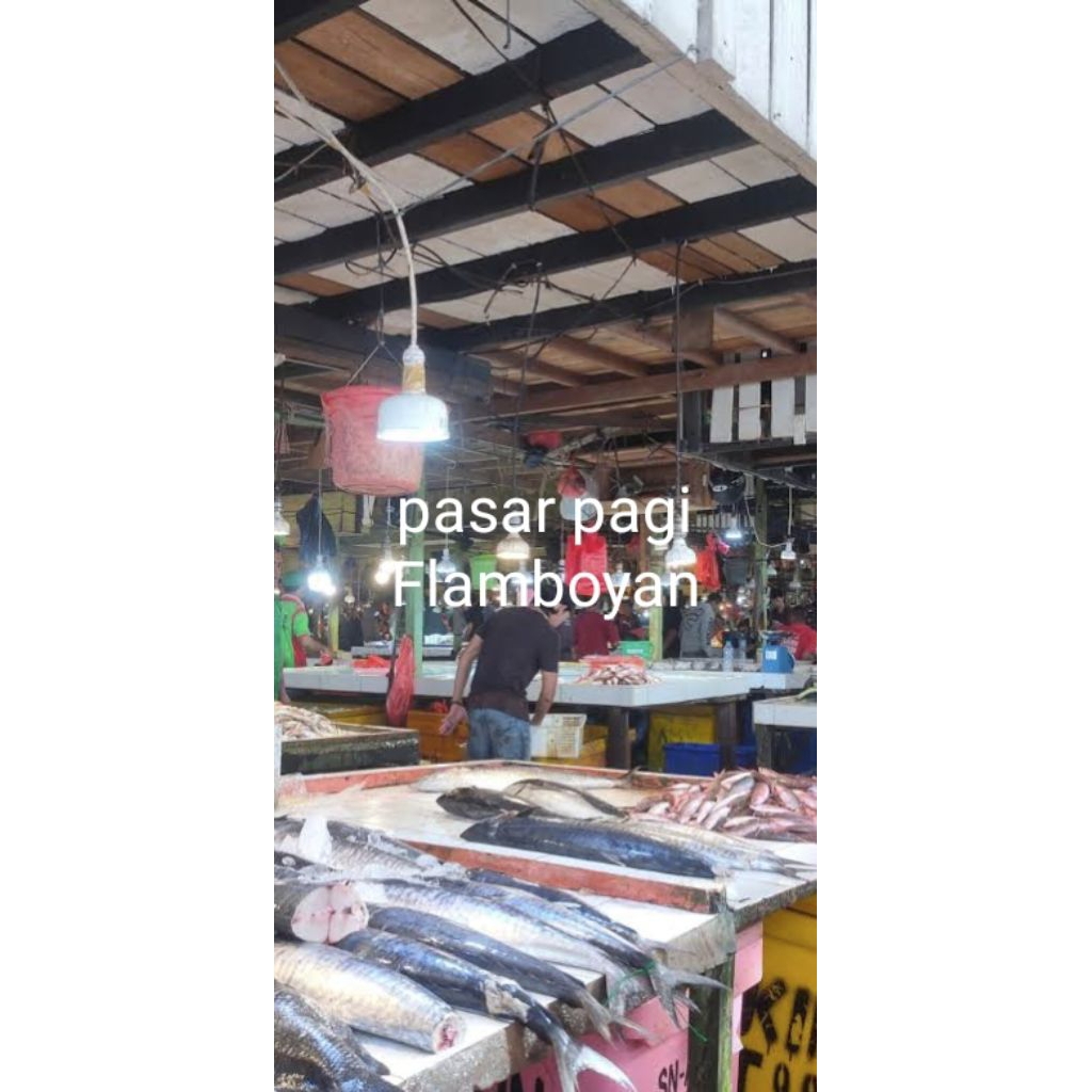 Ikan segar pasar pagi flamboyan Pontianak