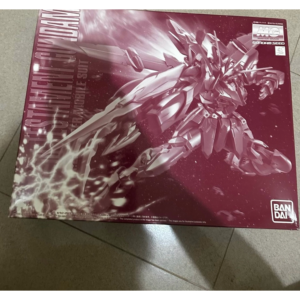 Gundam Testament MG 1/100 New