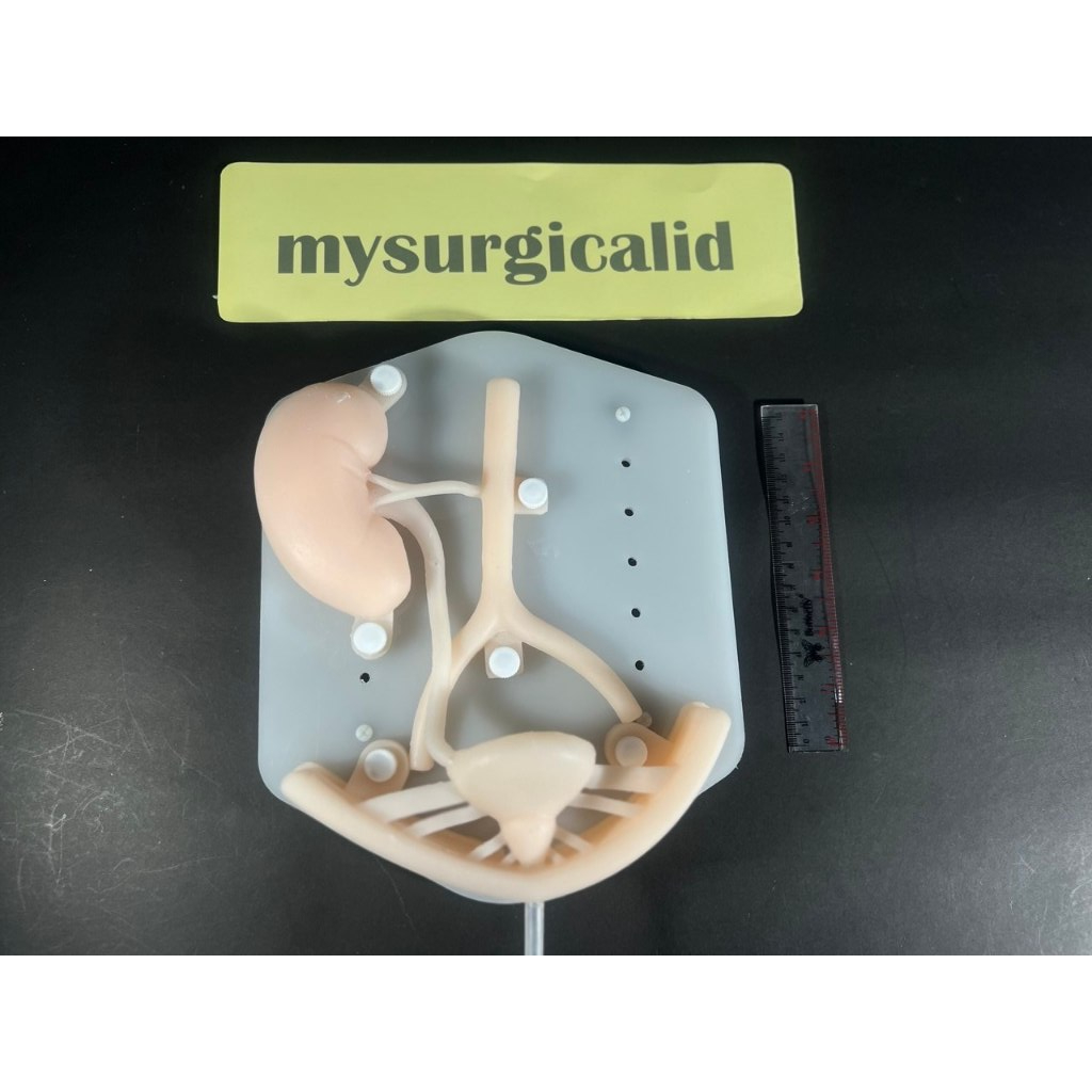 Manekin Sistem Urologi - Manekin Operasi Laparoskopi - Operasi Terbuka Urologi