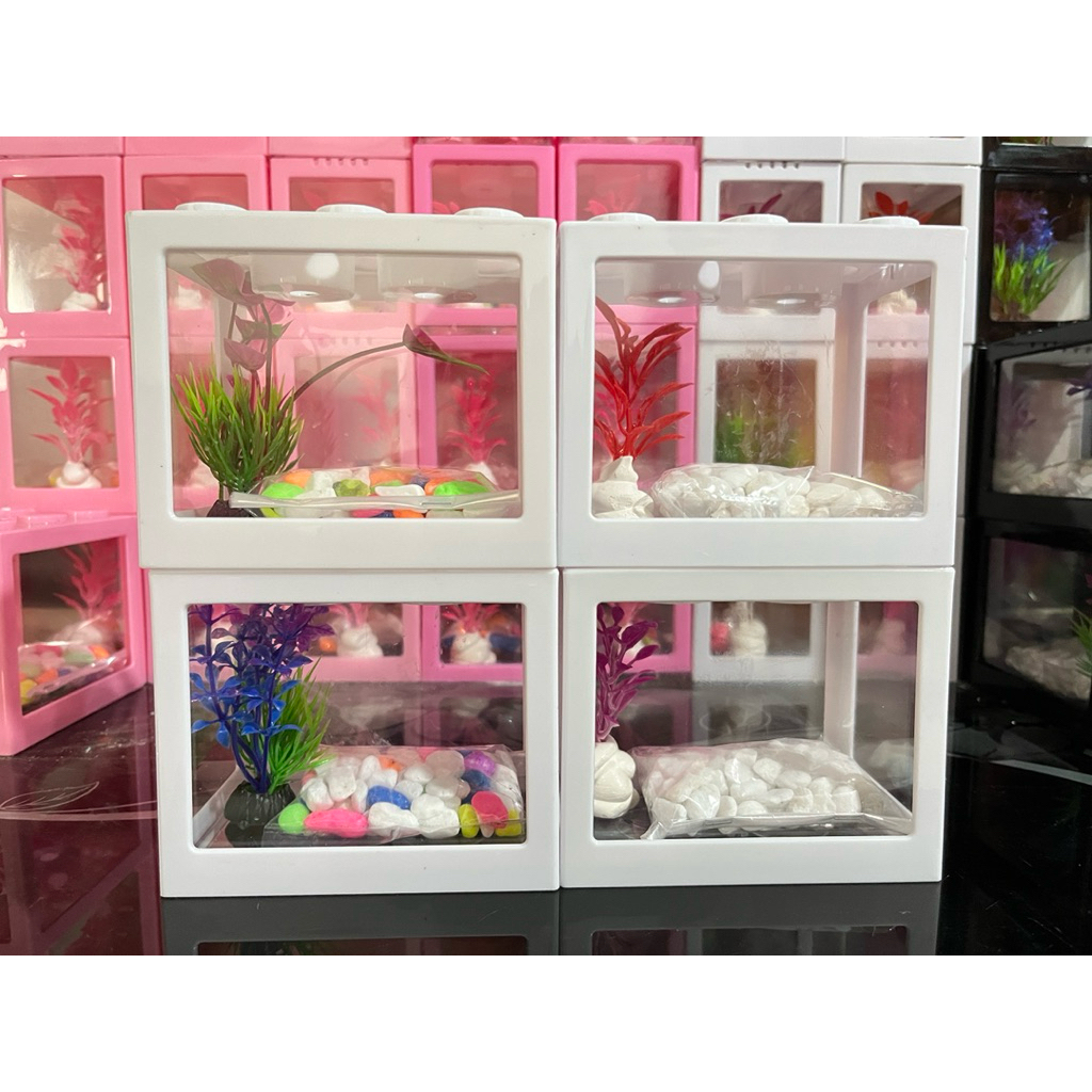 aquarium lego cupang