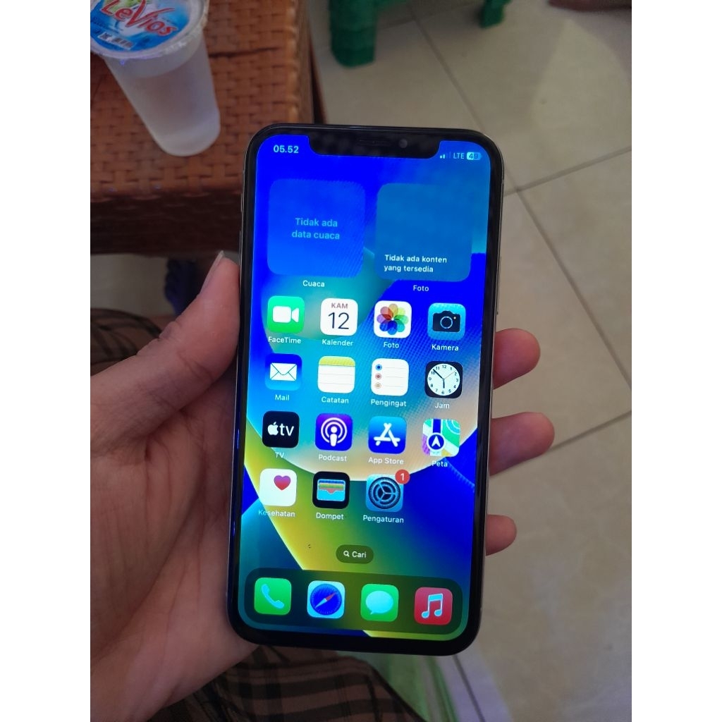 IPHONE 10  (X)