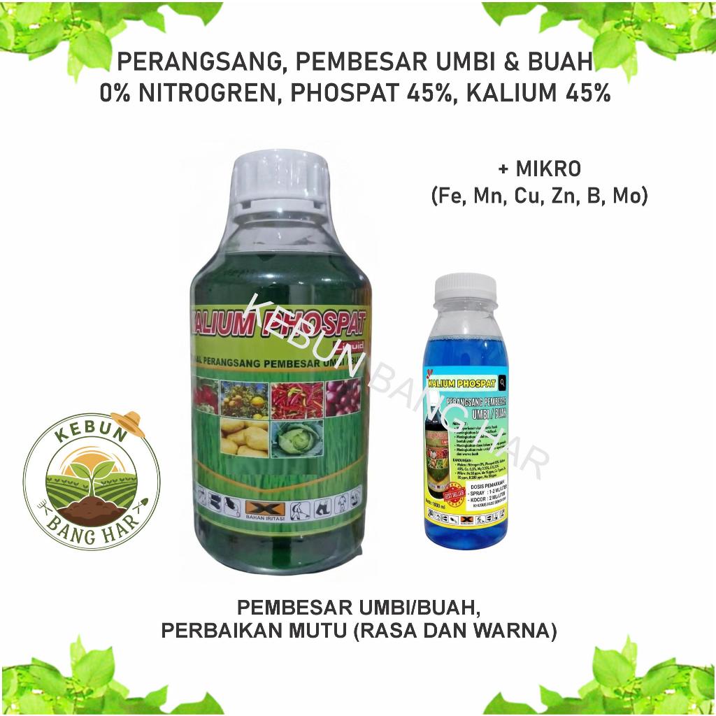 Repack KALIUM PHOSPAT sang Pembesar Umbi dan Buah 0 Nitrogen Tinggi Kalium dan Phospat