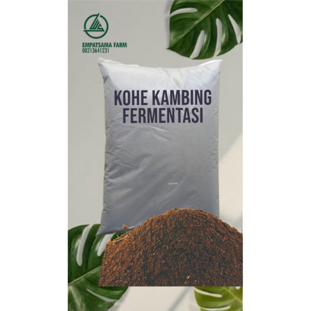 Kohe Kambing Fermentasi