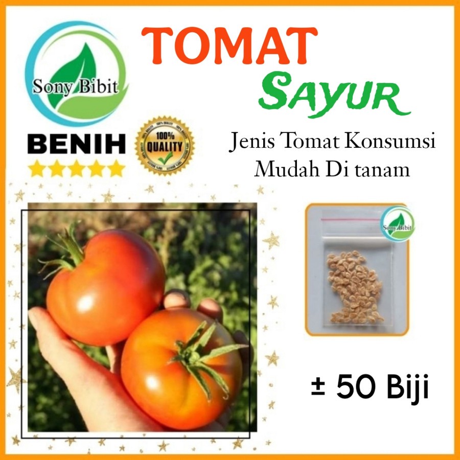 50 Benih Sayuran Buah Tomat Bibit Benih Sayur Tomat Rampai Biji Benih Tomat