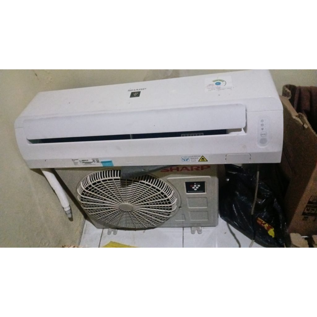 AC Sharp (second)