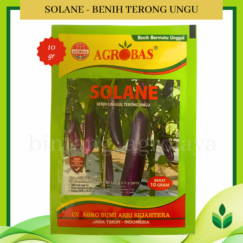 Benih Bibit Terong Ungu Solane 10 gr - Agrobas