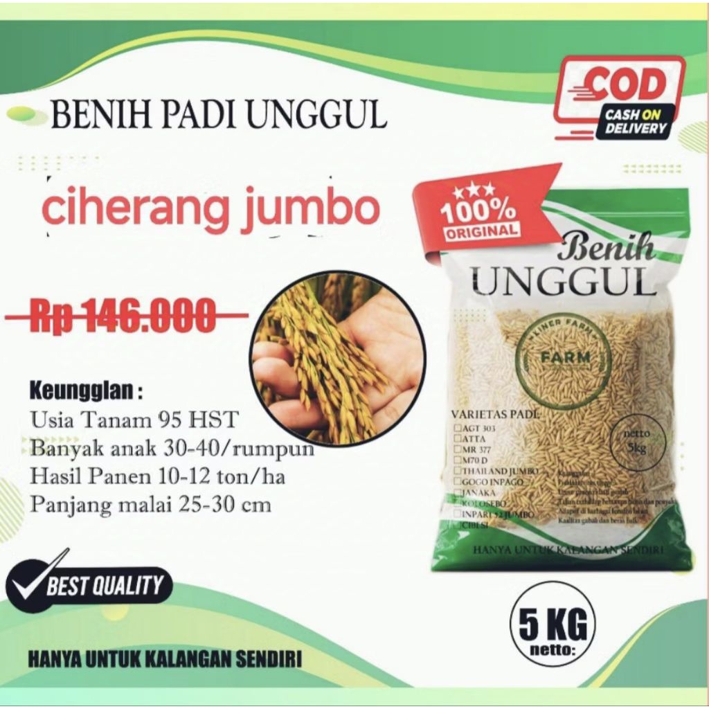 benih padi ciherang jumbo 5kg