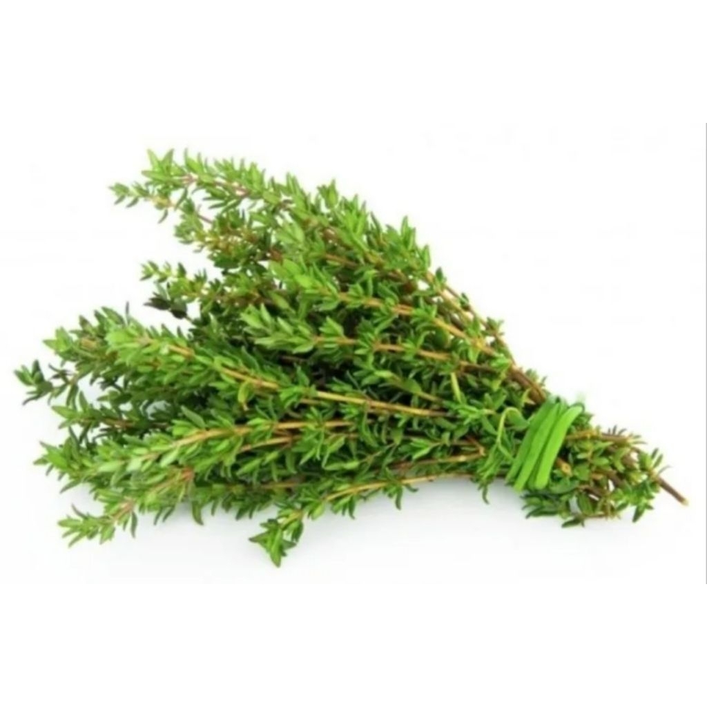 Daun Thyme segar 1pck