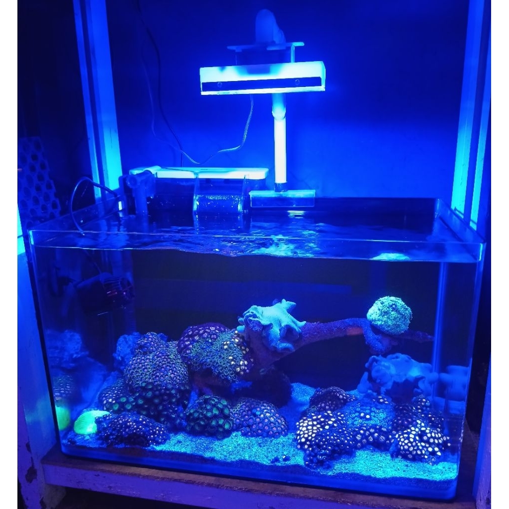 AKURIUM BENDING FULLSET 50CM