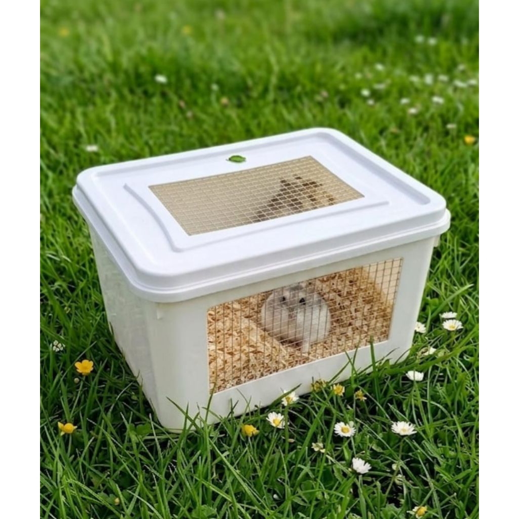 kandang hamster/box kandang hamster/tempat tidur hamster/kandang hewan reptil