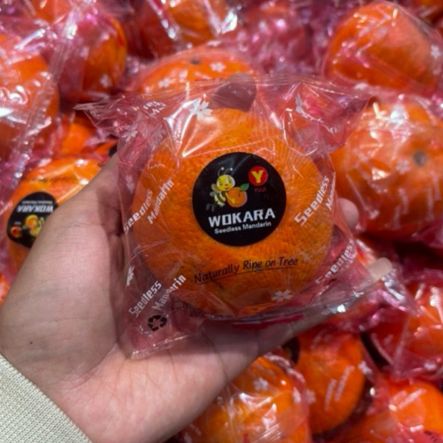 Jeruk wokara Seedless Super Manis | Jeruk wokara yuji 1kg