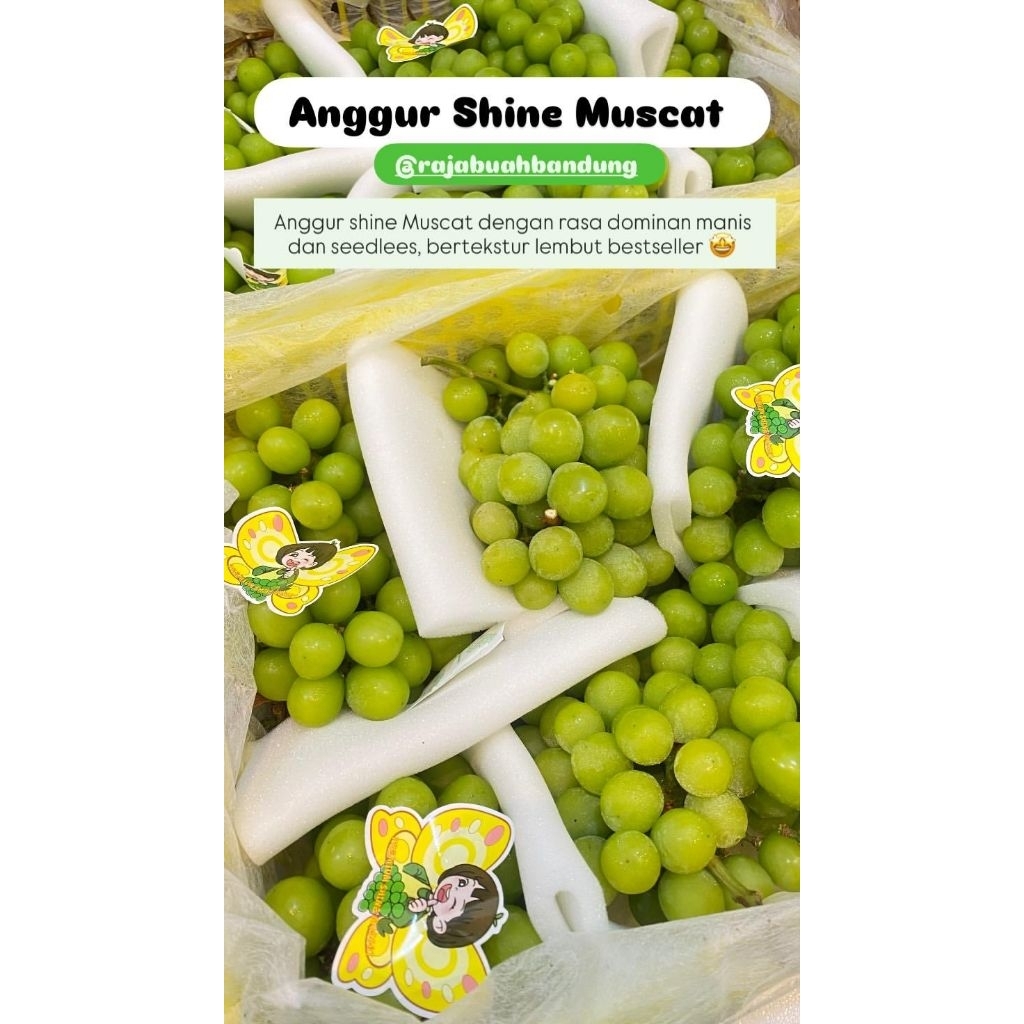 Anggur Shine Muscat 500gram
