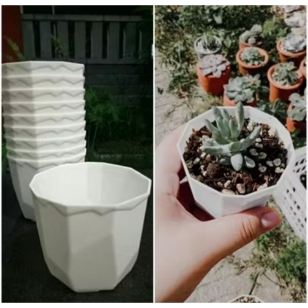 Pot permata #8 putih. utk sukulen, kaktus, dolar mangkok dll