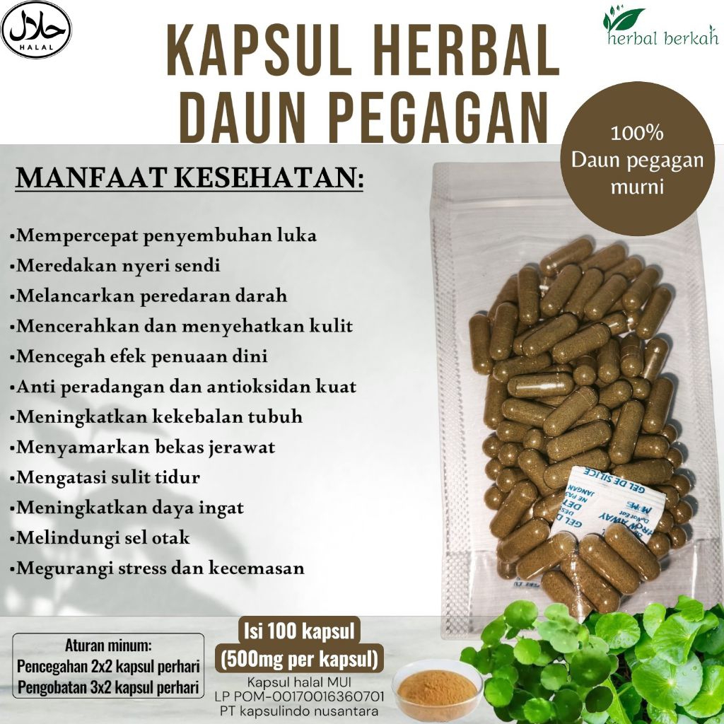 DAUN PEGAGAN/ANTANAN kapsul herbal murni isi 100 kapsul