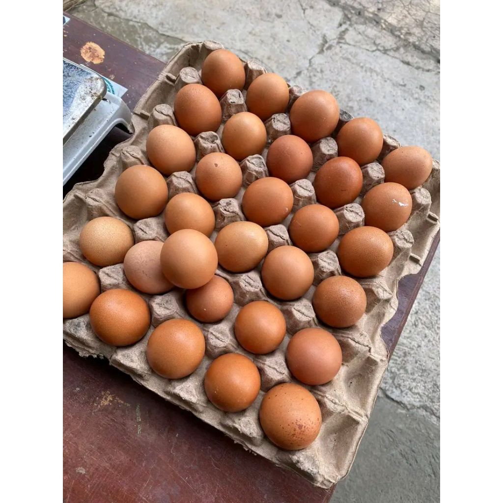 (PATI) TELUR AYAM MENTAH INSTAN PATI (1KG)